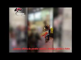 Ecco i falsi paraplegici