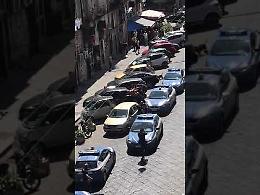 Pitbull morde agente durante arresto, la polizia gli spara