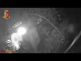Stanato il latitante Di Martino, il video della cattura