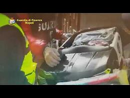 Sequestrate 386 auto elettriche contraffatte nel Porto di Napoli