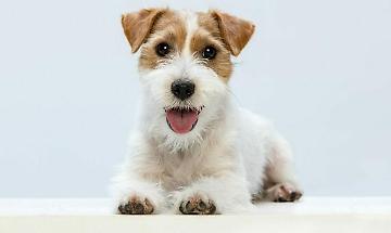 443 milioni! Corsi e ricorsi della storia