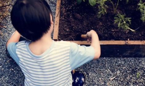 Primo atto di Fico: convenzione per Centro autismo Avellino