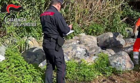 Conca di Agnano, blitz dei Forestali