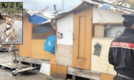 Droni sospetti, blitz nel campo rom