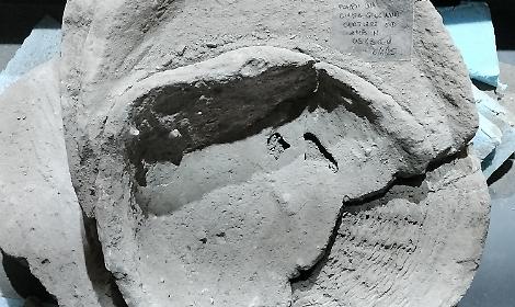 Pompei, nuove scoperte nella villa di Civita Giuliana