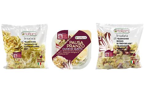 OrtoRomi tutela il radicchio I.G.P, gioiello della terra invernale
