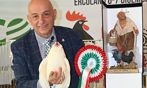 Ercolano, terzo campionato delle associazioni avicole: edizione da record