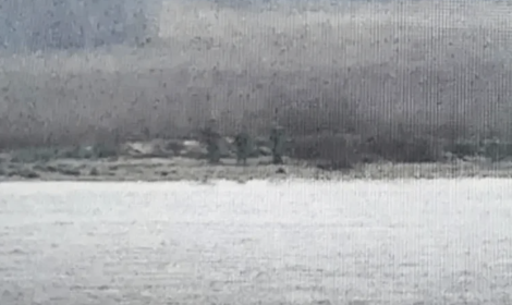 Soldati russi sconfinano in Estonia: alta tensione sul fianco Est