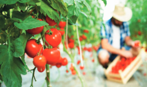 Indagine sui rincari degli alimenti nella grande distribuzione