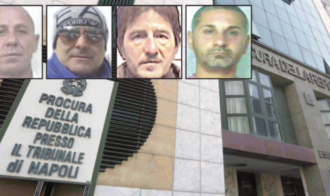 Clan Mallardo, Procura all&rsquo;attacco