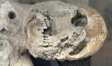 &laquo;Pompei non sar&agrave; mai un "divertimento", qui la tragedia &egrave; diventata cultura&raquo;