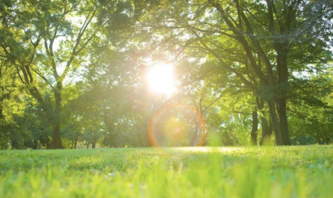 Meteo, svolta clamorosa: sole e 25&deg;C a Pasqua e Pasquetta