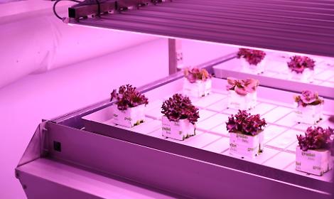 Agritech, inaugurato Dimostratore Arca a Napoli