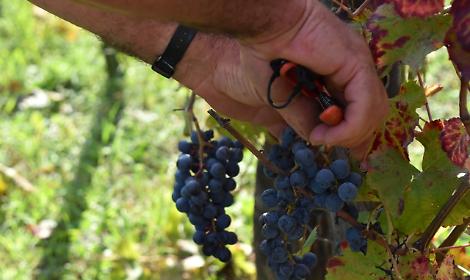 Finire a tarallucci e vino con gli d&egrave;i &egrave; cosa buona