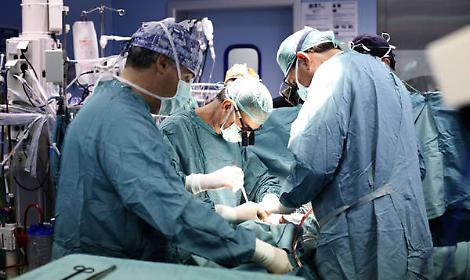 Trapianto fallito, l'esperto: errore grave usare il ghiaccio secco
