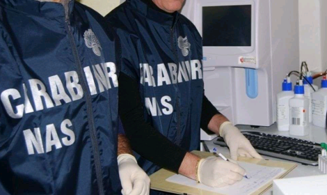 Topo morto trovato in una pentola della refezione scolastica