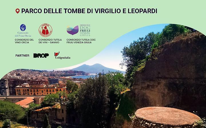 Wine Spot, vino e storia