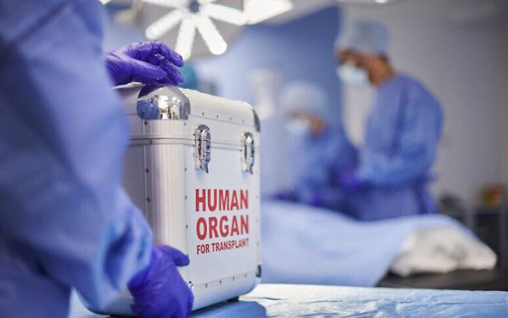 Caso &ldquo;cuore bruciato", sequestrato il contenitore del trasporto organi