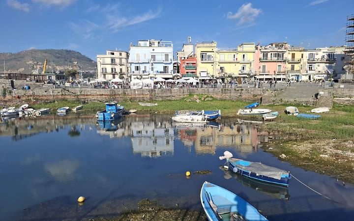 Duemila fiori nella Darsena di Pozzuoli