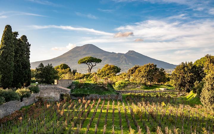 Pompei, un'azienda vitivinicola nel parco archeologico