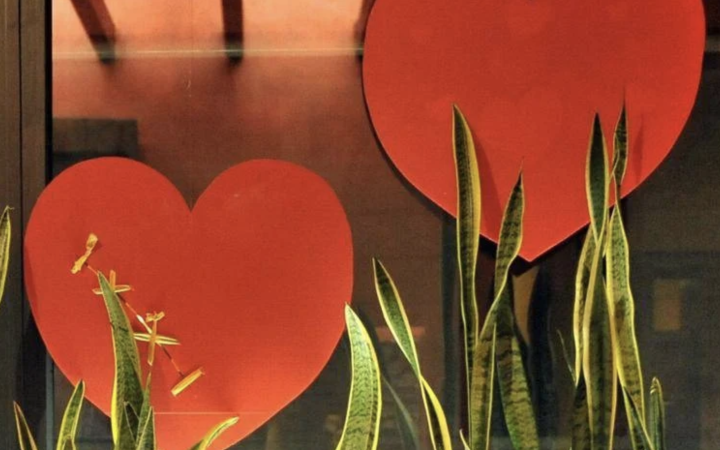 L'amore fa bene al cuore, lo dice la scienza: ecco cosa cambia se si &egrave; in coppia