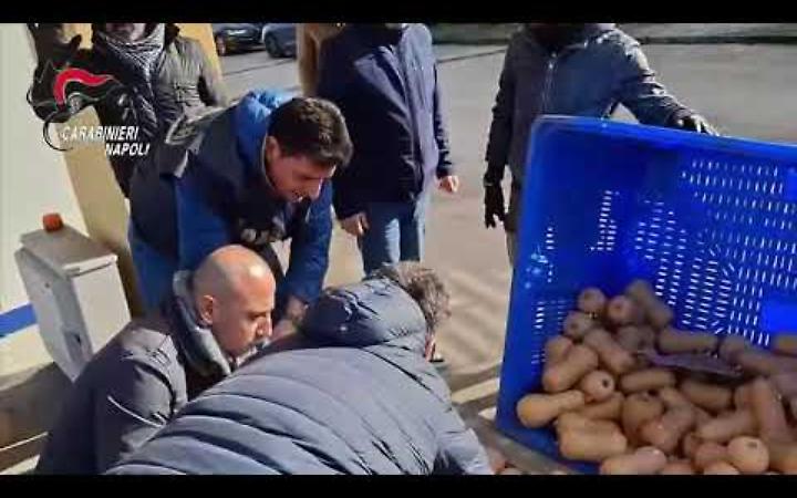 Droga a Napoli dalla Spagna, in un tir 387 chili di hashish provenienti da Barcellona