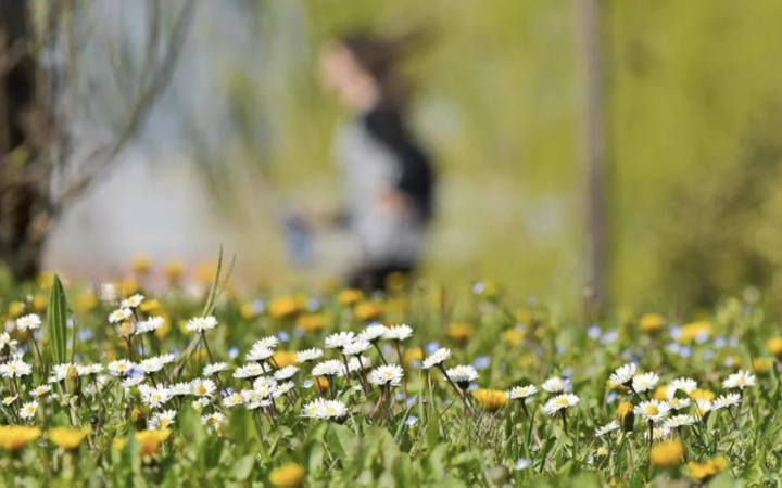 Colpo di coda dell'inverno, ma per Pasqua cambia tutto