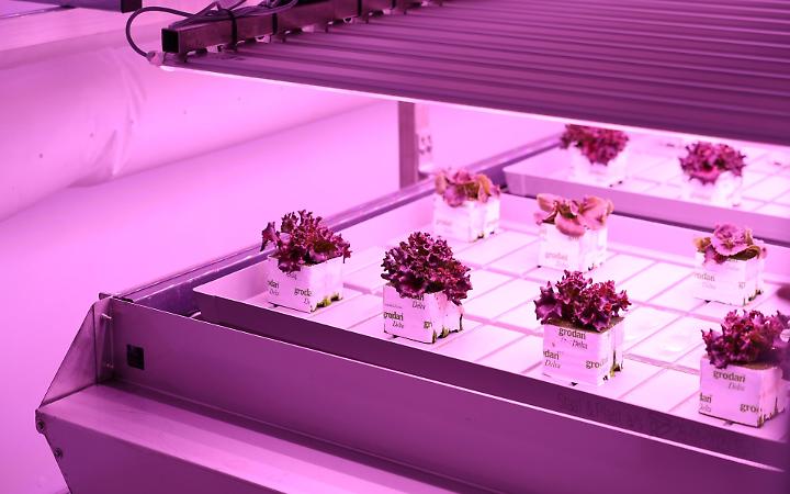 Agritech, inaugurato Dimostratore Arca a Napoli