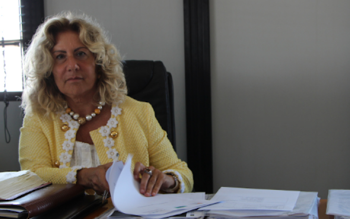 L'infettivologa Triassi: &laquo;Focolaio epatite &egrave; punta iceberg&raquo;