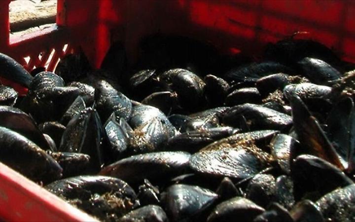 &laquo;A Napoli un focolaio di epatite A non un&rsquo;epidemia&raquo;